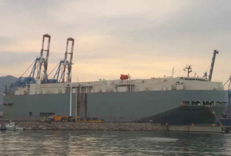 SETTLER General Cargo IMO 9323780