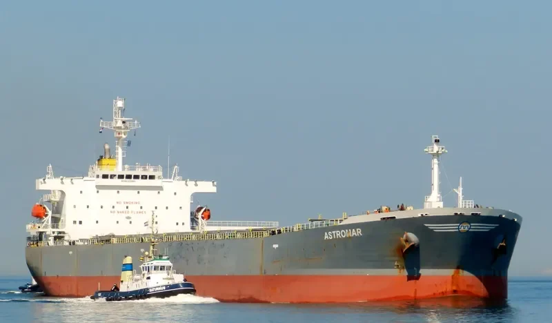 PORTAITISSA Bulk Carrier IMO 9323883 photo 8