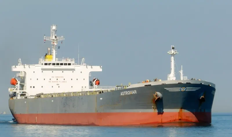PORTAITISSA Bulk Carrier IMO 9323883 photo 10