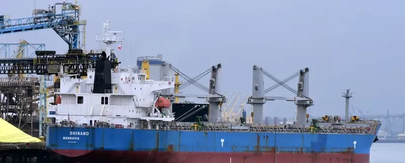 WAVE RUNNER Bulk Carrier IMO 9323895