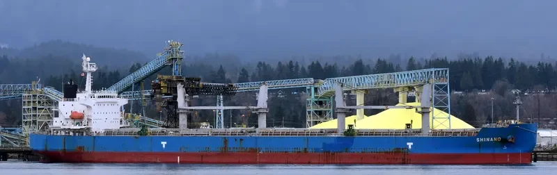 WAVE RUNNER Bulk Carrier IMO 9323895 photo 2