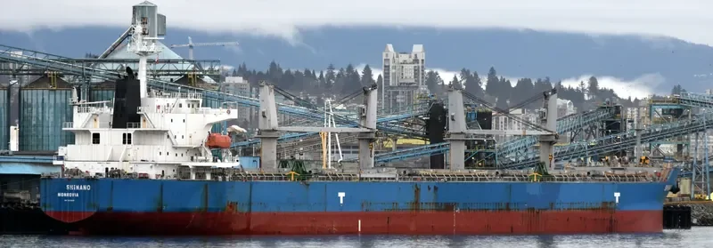 WAVE RUNNER Bulk Carrier IMO 9323895 photo 3