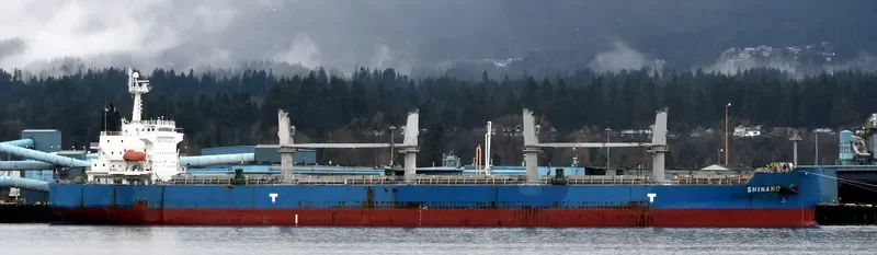 WAVE RUNNER Bulk Carrier IMO 9323895 photo 4
