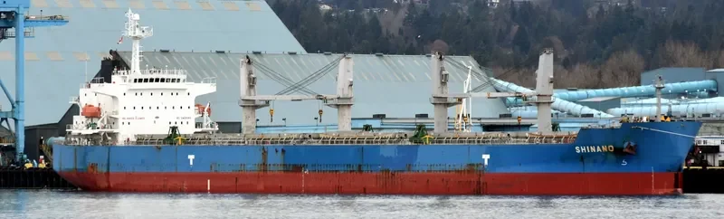 WAVE RUNNER Bulk Carrier IMO 9323895 photo 5
