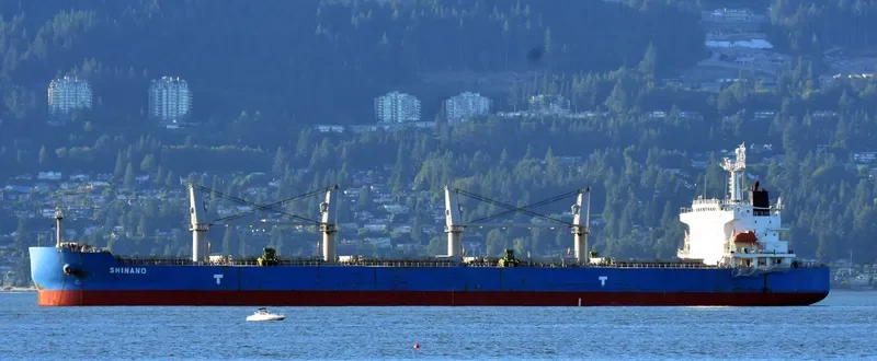 WAVE RUNNER Bulk Carrier IMO 9323895 photo 6