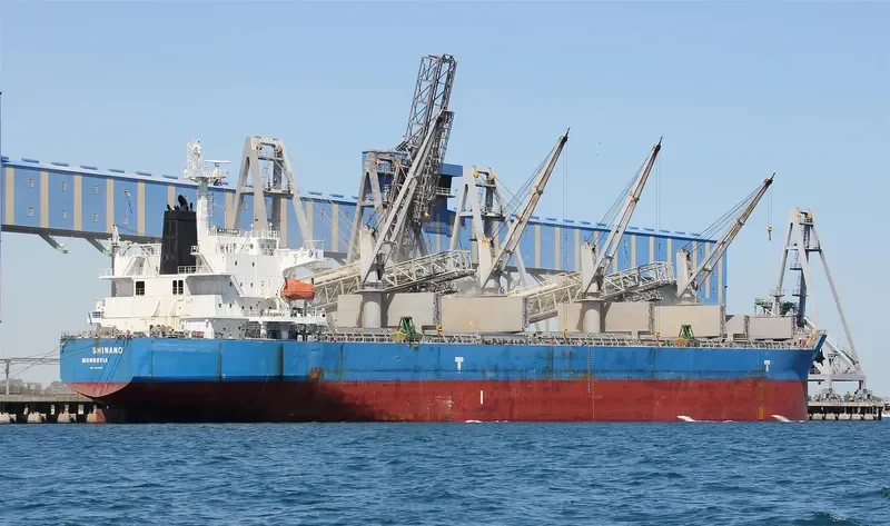 WAVE RUNNER Bulk Carrier IMO 9323895 photo 7