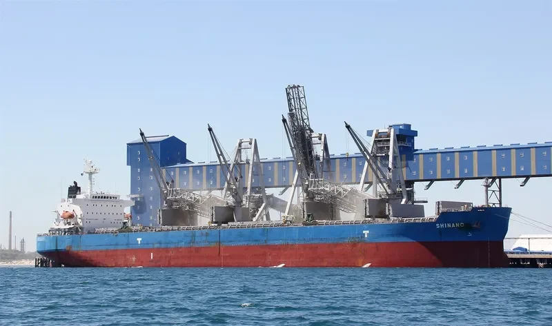 WAVE RUNNER Bulk Carrier IMO 9323895 photo 8