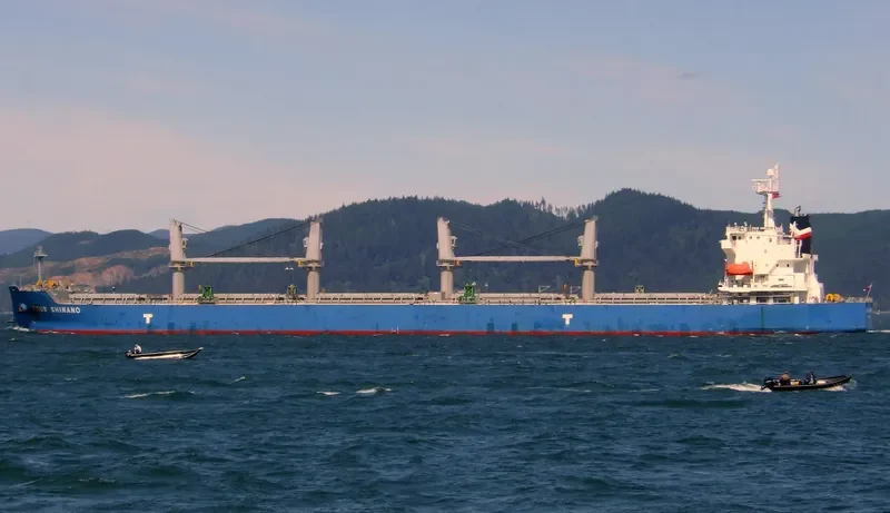 WAVE RUNNER Bulk Carrier IMO 9323895 photo 9