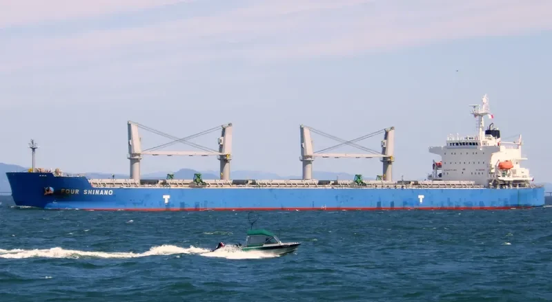 WAVE RUNNER Bulk Carrier IMO 9323895 photo 10