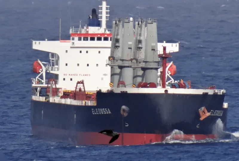 ELEOUSSA Bulk Carrier IMO 9323900 photo 2