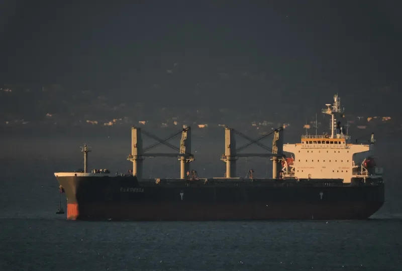 ELEOUSSA Bulk Carrier IMO 9323900 photo 4
