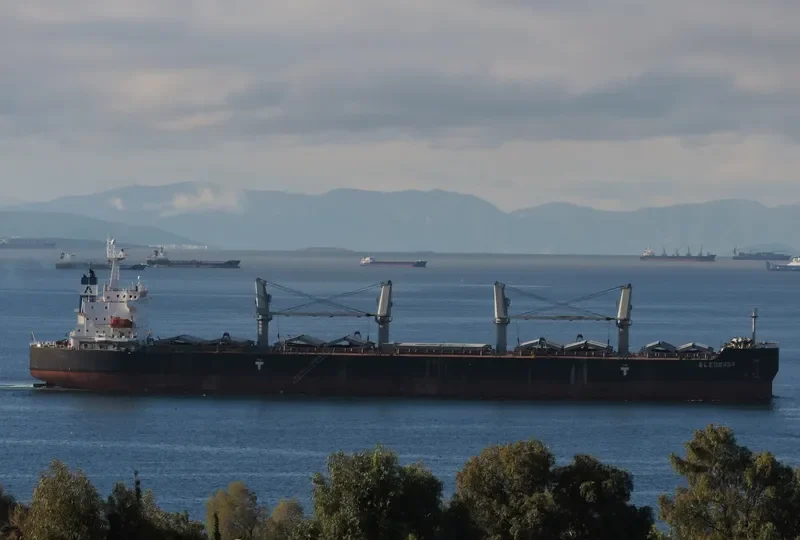 ELEOUSSA Bulk Carrier IMO 9323900 photo 6