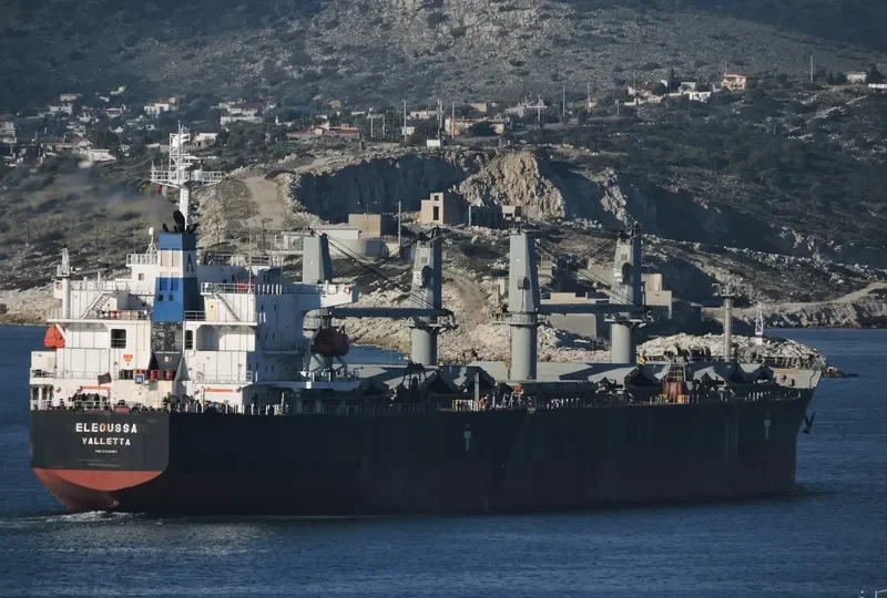 ELEOUSSA Bulk Carrier IMO 9323900 photo 8