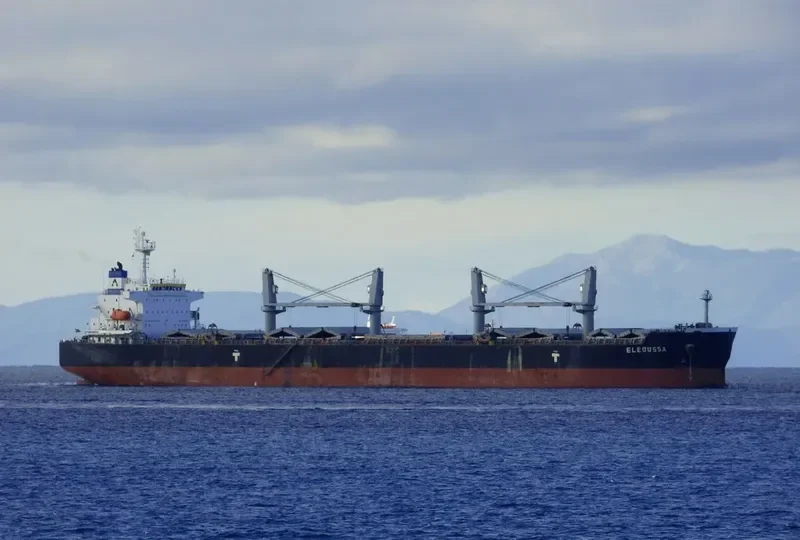 ELEOUSSA Bulk Carrier IMO 9323900 photo 9