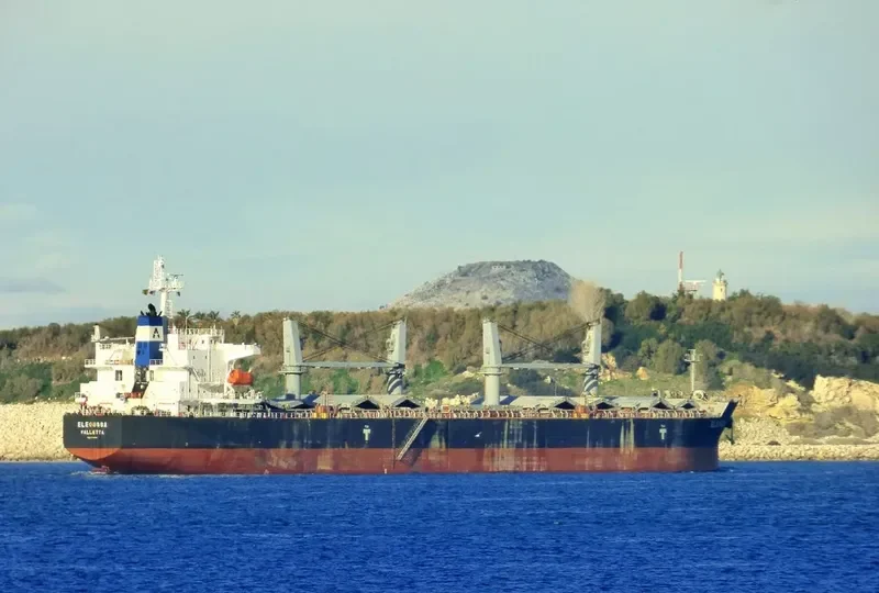 ELEOUSSA Bulk Carrier IMO 9323900 photo 10