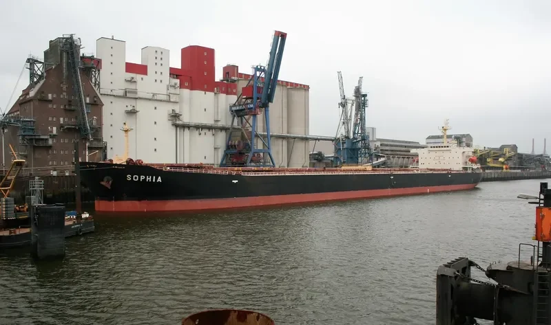 SOPHIA Bulk Carrier IMO 9323912 photo 5
