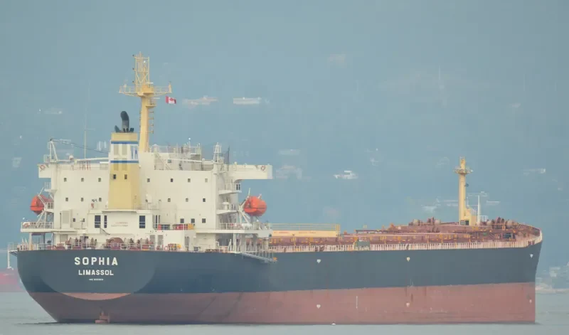 SOPHIA Bulk Carrier IMO 9323912 photo 10