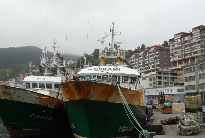 TXORI HIRU General Cargo IMO 9324007 photo 3