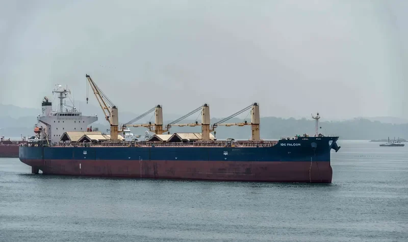 IDC FALCON Bulk Carrier IMO 9324069