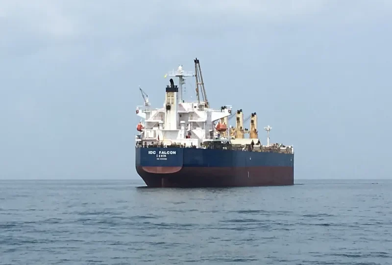 IDC FALCON Bulk Carrier IMO 9324069 photo 2