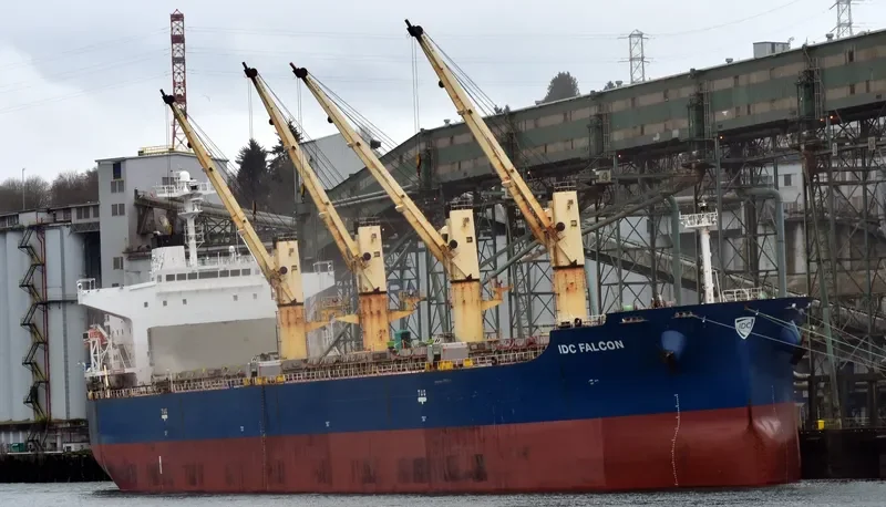 IDC FALCON Bulk Carrier IMO 9324069 photo 3
