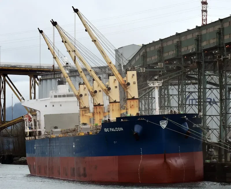 IDC FALCON Bulk Carrier IMO 9324069 photo 4