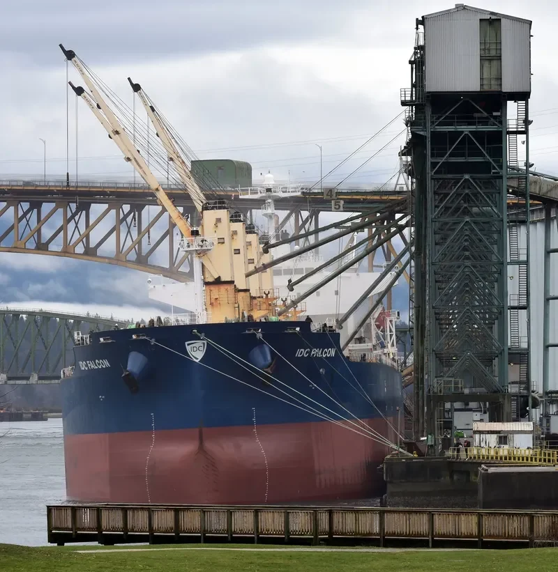 IDC FALCON Bulk Carrier IMO 9324069 photo 5