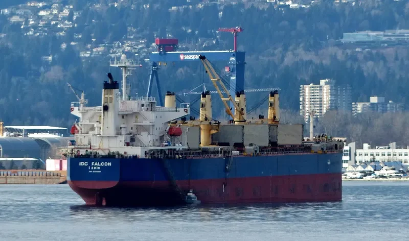 IDC FALCON Bulk Carrier IMO 9324069 photo 7