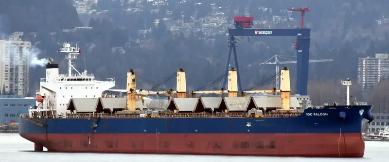 IDC FALCON Bulk Carrier IMO 9324069 photo 8