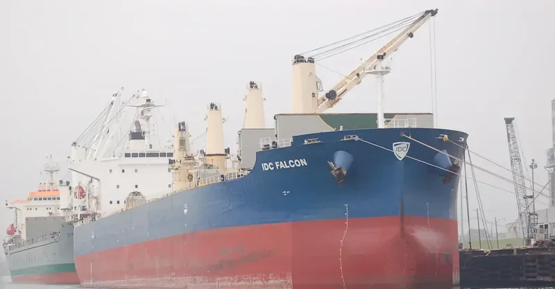 IDC FALCON Bulk Carrier IMO 9324069 photo 9