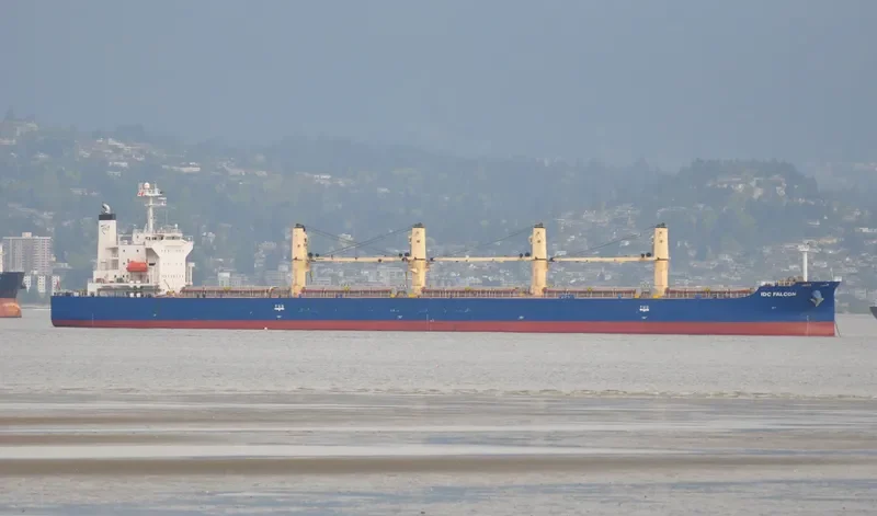IDC FALCON Bulk Carrier IMO 9324069 photo 10
