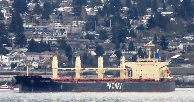 ATLANTIC ENSENADA Bulk Carrier IMO 9324071 photo 2