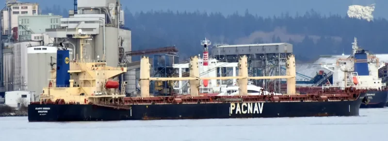 ATLANTIC ENSENADA Bulk Carrier IMO 9324071 photo 3