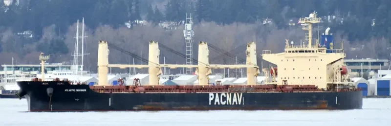 ATLANTIC ENSENADA Bulk Carrier IMO 9324071 photo 4