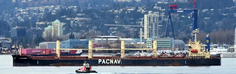 ATLANTIC ENSENADA Bulk Carrier IMO 9324071 photo 5