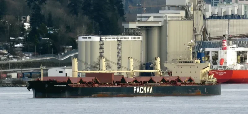 ATLANTIC ENSENADA Bulk Carrier IMO 9324071 photo 6