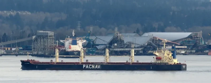 ATLANTIC ENSENADA Bulk Carrier IMO 9324071 photo 7
