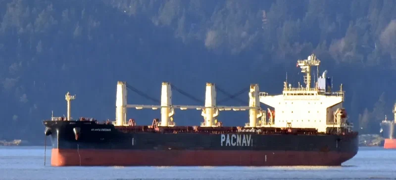 ATLANTIC ENSENADA Bulk Carrier IMO 9324071 photo 9