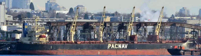 ATLANTIC ENSENADA Bulk Carrier IMO 9324071 photo 10