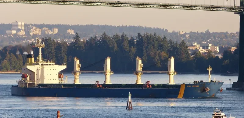 GUNALEILA Bulk Carrier IMO 9324083 photo 2