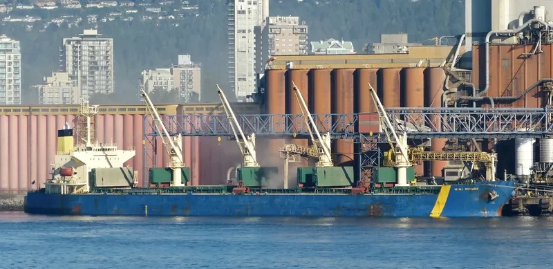 GUNALEILA Bulk Carrier IMO 9324083 photo 3