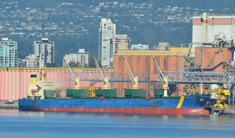 GUNALEILA Bulk Carrier IMO 9324083 photo 4