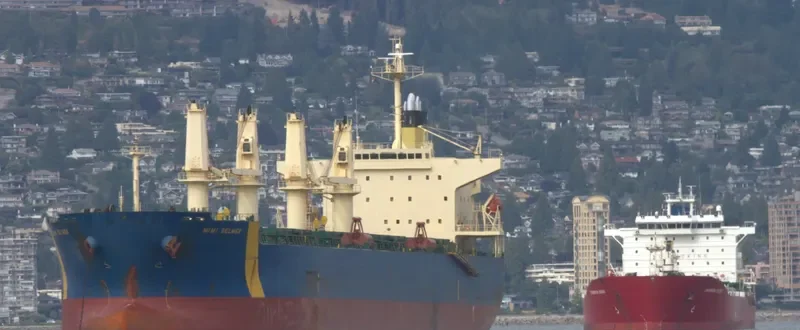 GUNALEILA Bulk Carrier IMO 9324083 photo 5