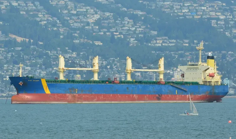 GUNALEILA Bulk Carrier IMO 9324083 photo 7
