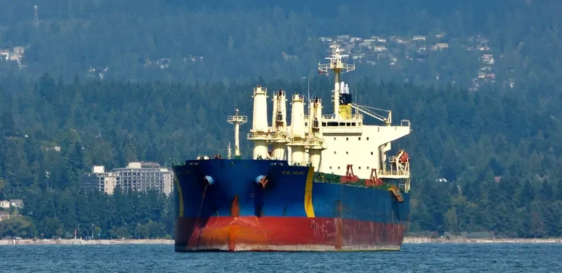 GUNALEILA Bulk Carrier IMO 9324083 photo 8