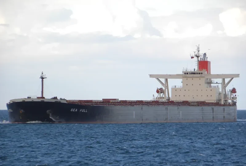 GREEN GALAXY Bulk Carrier IMO 9324112 photo 4