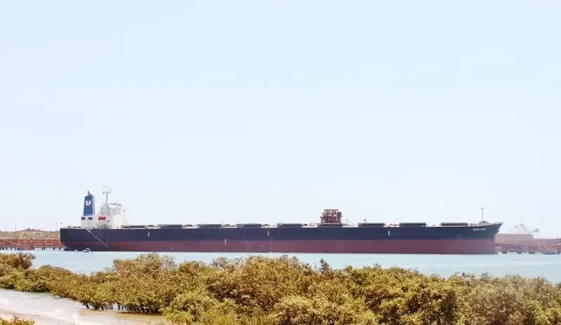 HL BALTIMORE Bulk Carrier IMO 9324124 photo 2