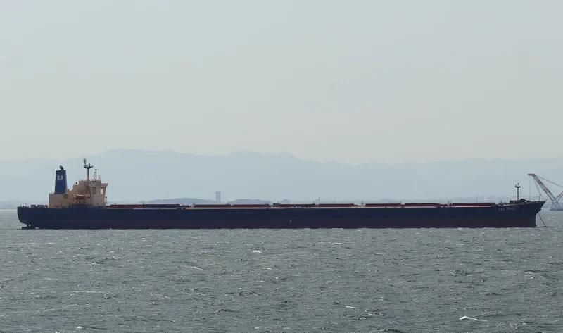 CAPE APOLLO Bulk Carrier IMO 9324136 photo 9
