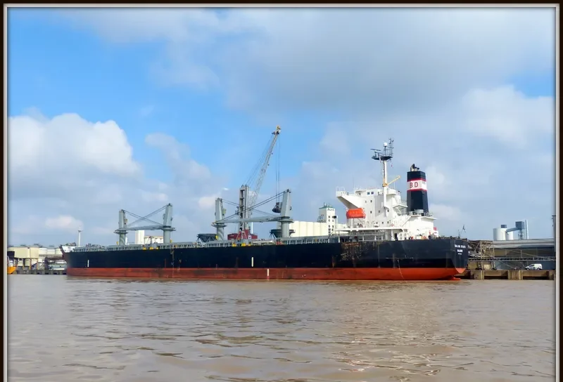DALIAN STAR D Bulk Carrier IMO 9324148 photo 3