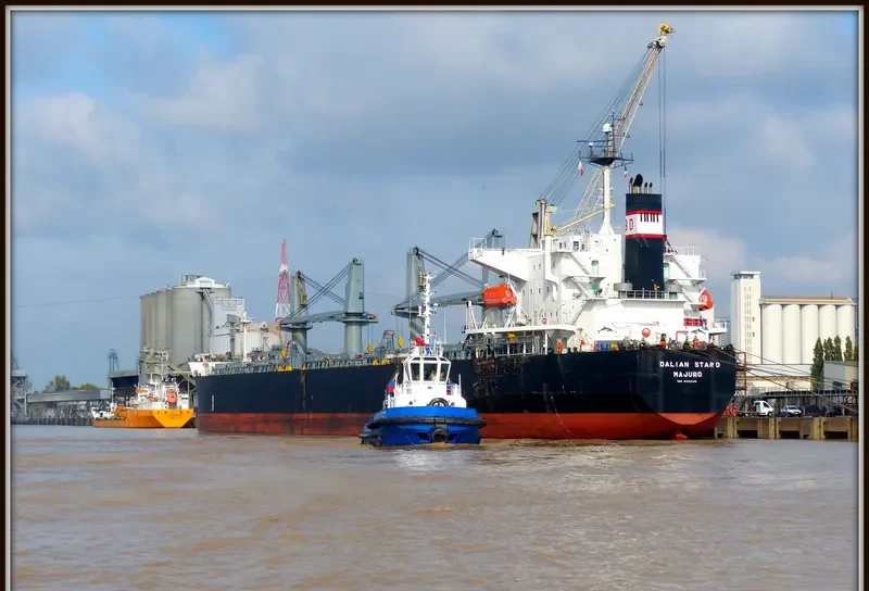 DALIAN STAR D Bulk Carrier IMO 9324148 photo 4